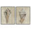 «Broken Beach Shells», ensemble de 2 giclées par Michael Willett