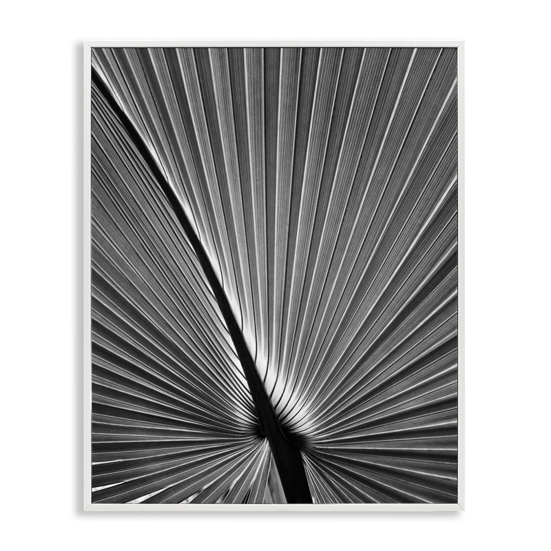 «Palm Frond», art par Chip Forelli bg-127, Estampe numérique encadrée blanc bord de mer, H 20 po x l 16 po