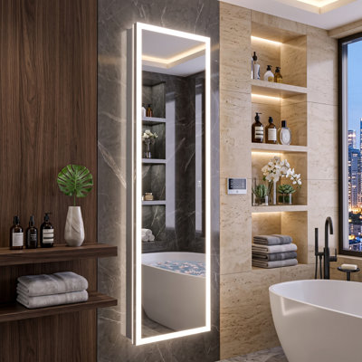 20" W x 70" H Full-Length LED Medicine Cabinet with Mirror