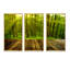 Golden Sunlight in Pine Forest - ensemble d'art mural sur toile encadré paysage-1664475310-1664475304