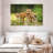 Brampt Fox Kits-107847486
