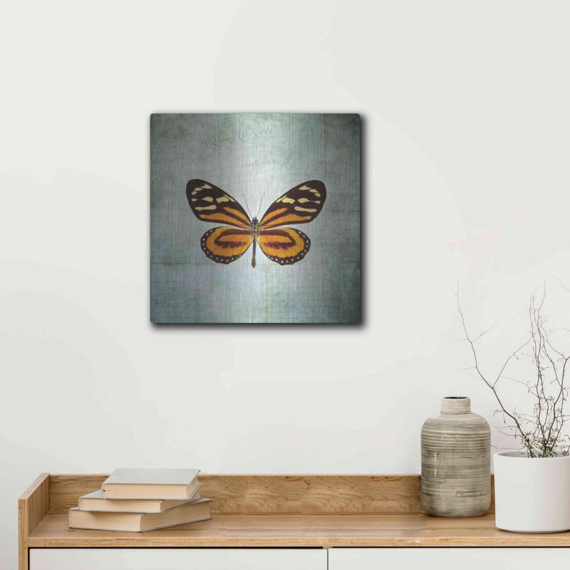 «French Butterfly VIII» par Debra Van Swearingen, H 12 po x l 12 po