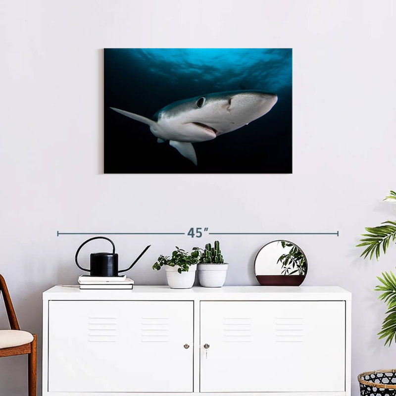Brampt Underwater Blue Shark, 20" H x 30" W