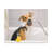 Cute Mongrel Bath Canvas Wall Art-1789365080