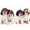 Adhésif mural pelez et collez - Chiots mignons