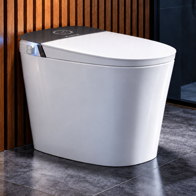 BCANHOME 1.28 GPF Elongated 18.3 Comfort Height Chair Height Floor Mounted Bidet Toilet with Seat Included