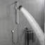 Pomme de douche multifonctionnelle