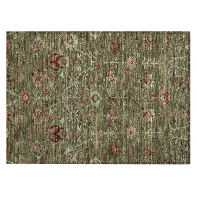 Chayil Area Rug with Non-Slip Backing