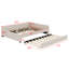 Lit plateforme tapissier avec port USB et lit gigogne-2109215531