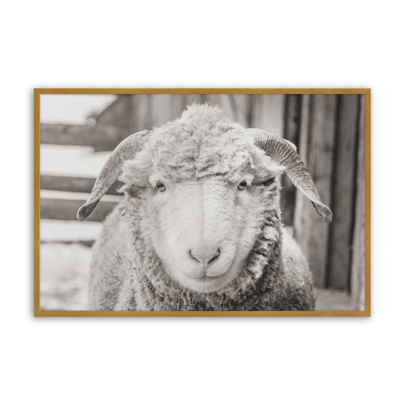 «Barn Buddy I» par Deborah Revell, reproduction d'art, H 32 po x l 48 po, Doré