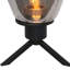 Jay Glass Novelty Lamp