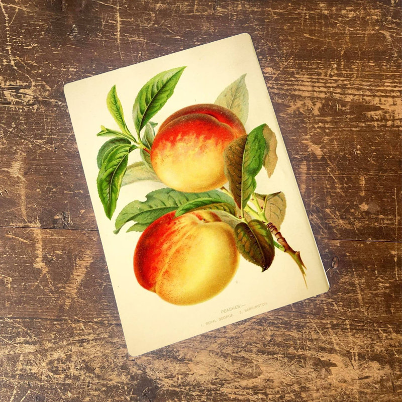 Food & Beverage Wall Decor on Metal, 40cm H x 28cm W