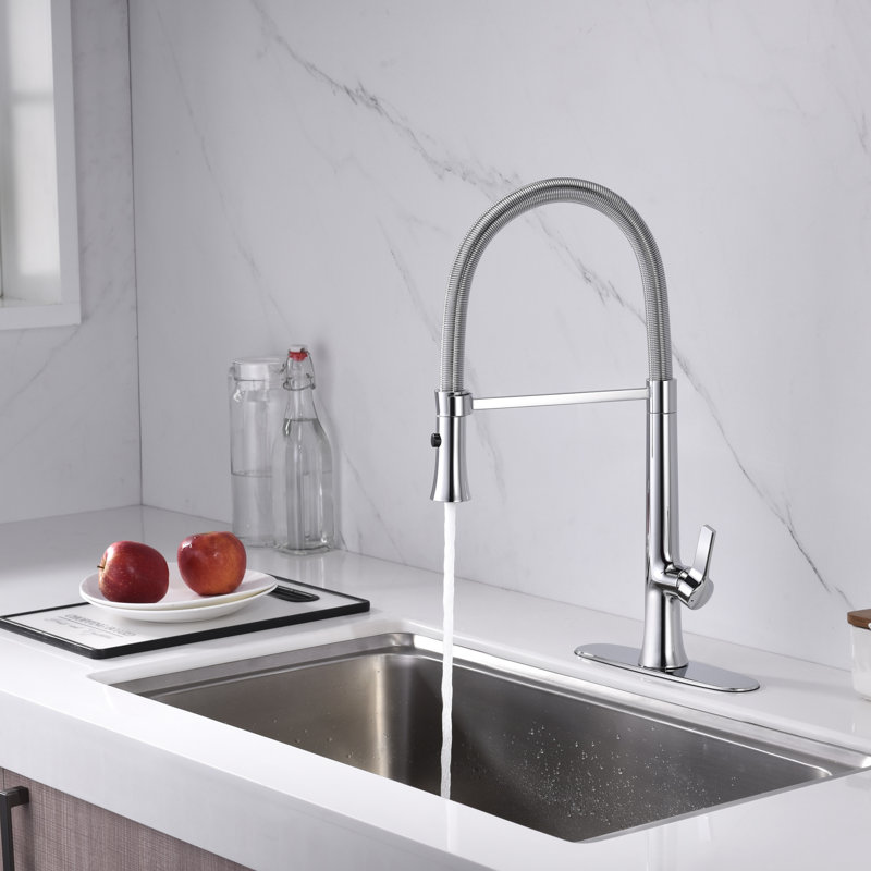 Nita Collection High-Arc Single Handle Kitchen/Bar Faucet with 2-Function Pull-Out Spring Spout Sprayer - Chrome Polished