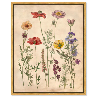 «Pollinator Portrait II», art floral délicat par Art Remedy