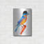 «Lord Bird» par Robert Farkas-1220557666