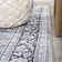 Frutuosa Bohemian Distressed Chenille Machine-Washable Gray/White Rug