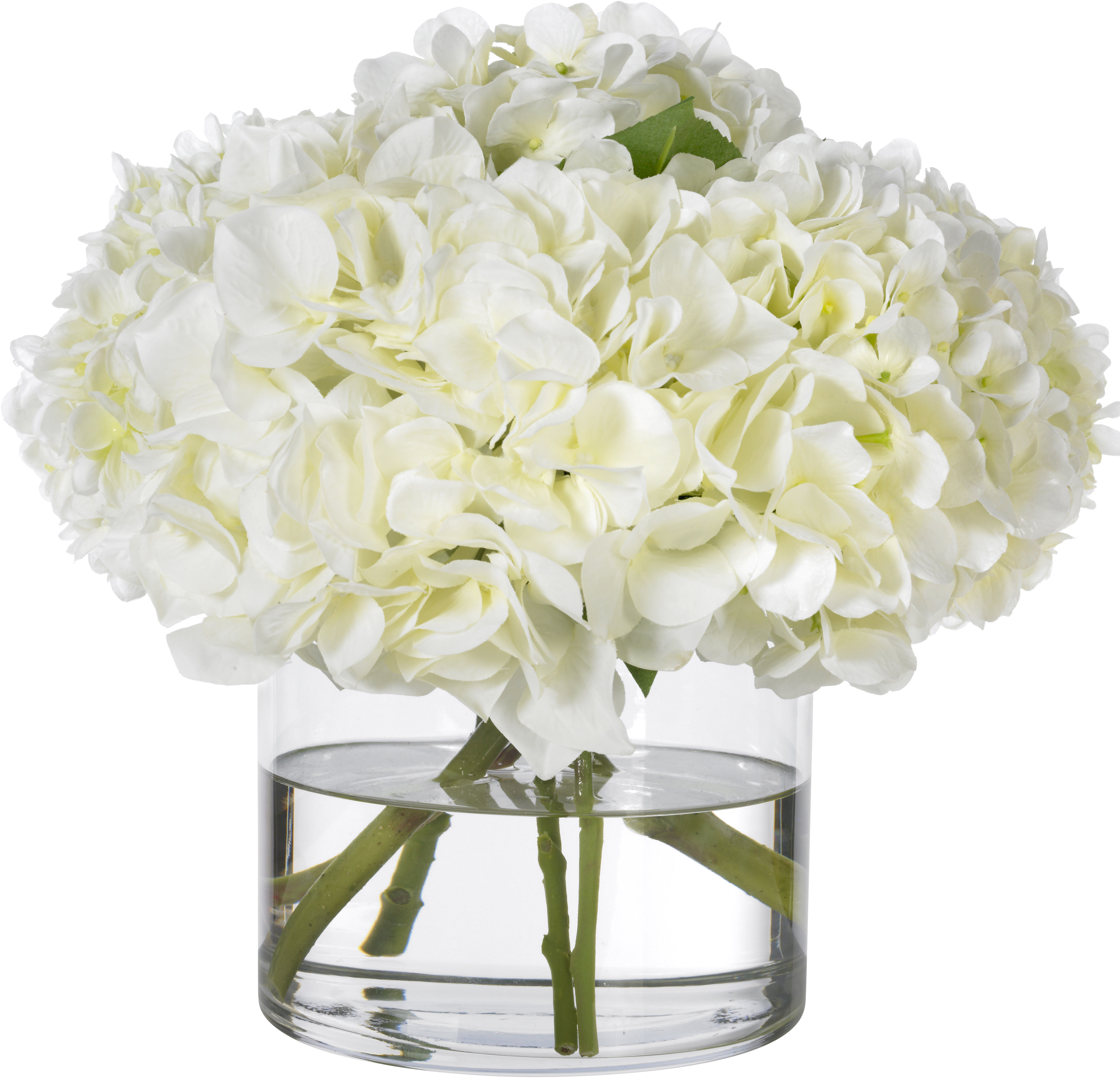 Diane James Home White Hydrangeas in Glass Cylinder Vase & Reviews ...