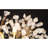 Light Spherical Antlia  Chandelier-1666167400-1666167393-1642313055
