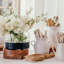3-in-1 Glass Bloom Vase-1909190253