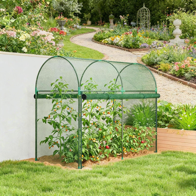 Spacious Plant Protection Tent,Plant Cage,Large Crop Cage, Vert
