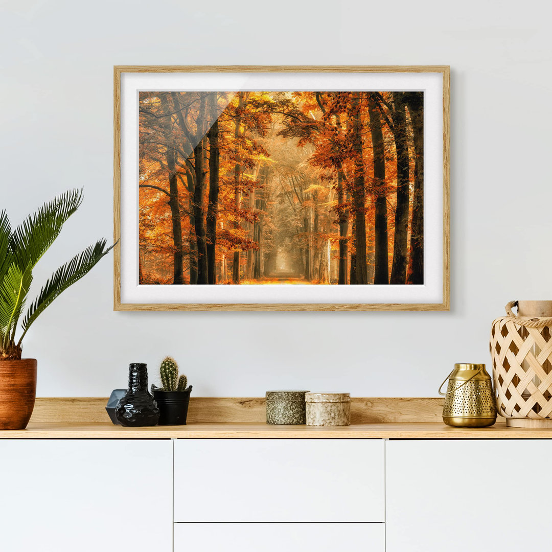 Gerahmtes Poster Fairy Tale Forest in Autumn