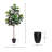6' Fiddle Leaf Tree with Fiberstone Planter