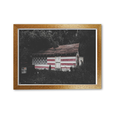 USA Hut 1 Piece Wall Art