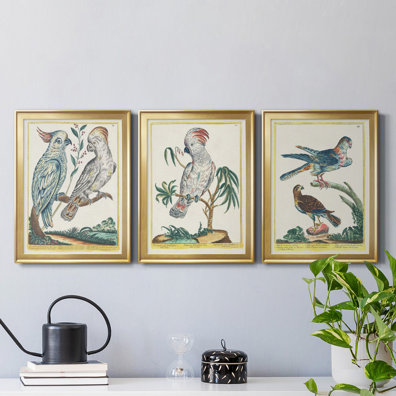 «Pastel Birds I», reproduction encadrée de qualité supérieure - prête à être accrochée, H 42,5 po x l 91,5 po x P 1 po