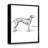 Dalmation - reproduction de cadre flottant sur toile-72858502