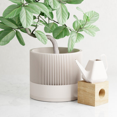 8 po Jardinière Sakura