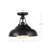 Palmetto Semi Flush Mount-88778612