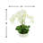 Orchid Arrangement in Planter
