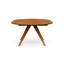 Catalina Round Extension Table-12456042-12261667