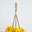 Geranium panier suspendu résistant aux rayons UV