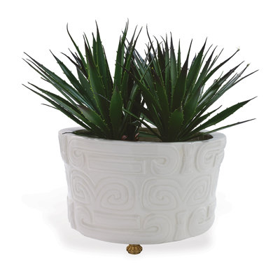Dynasty Center Basin
