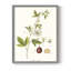 Passion Passion Trio II, reproduction encadrée - bois massif-693837982-693838053