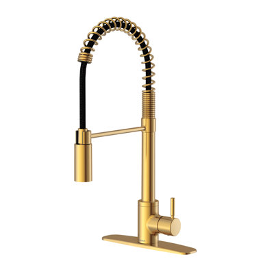 The Foodie Single Handle Pre-Rinse Spring Pull Down Sprayer Kitchen Faucet