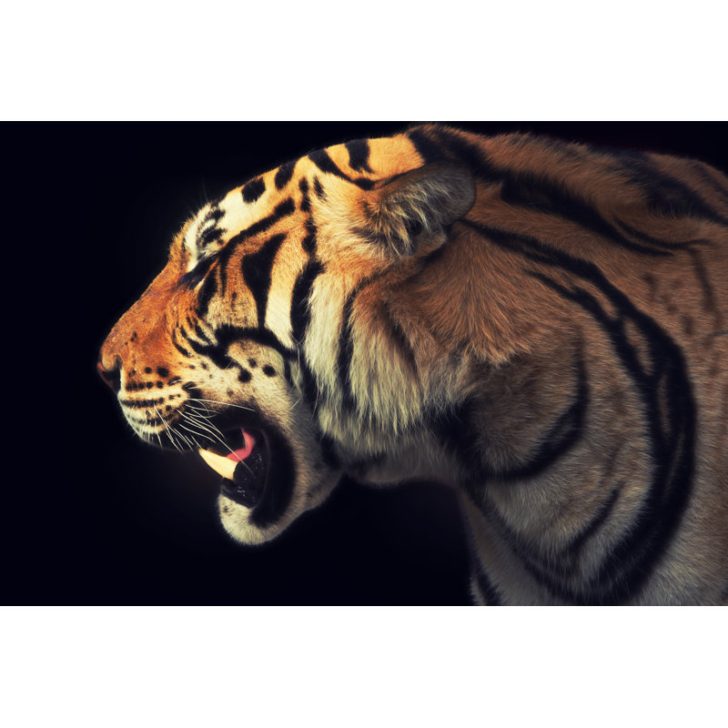 Tiger by Tunart - Wrapped Canvas Print, 81cm H x 122cm W x 3.8cm D