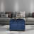 Devault 24" Wide Fabric Tufted Rectangle Storage Ottoman-23731311