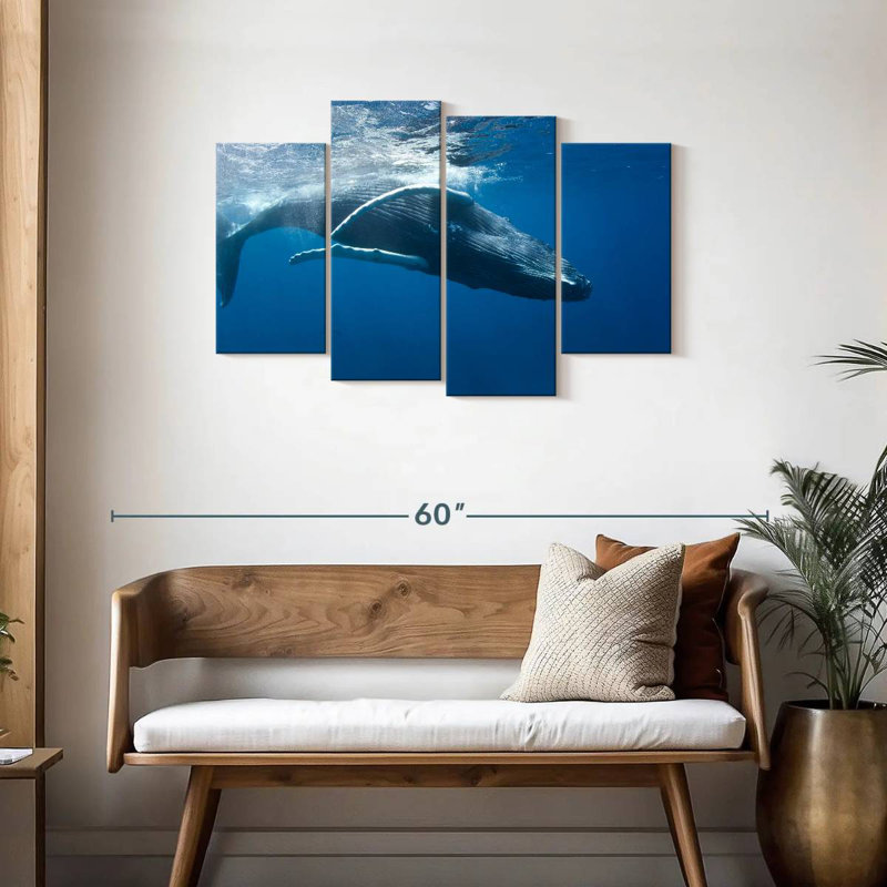 Baleine à bosse Brampt
