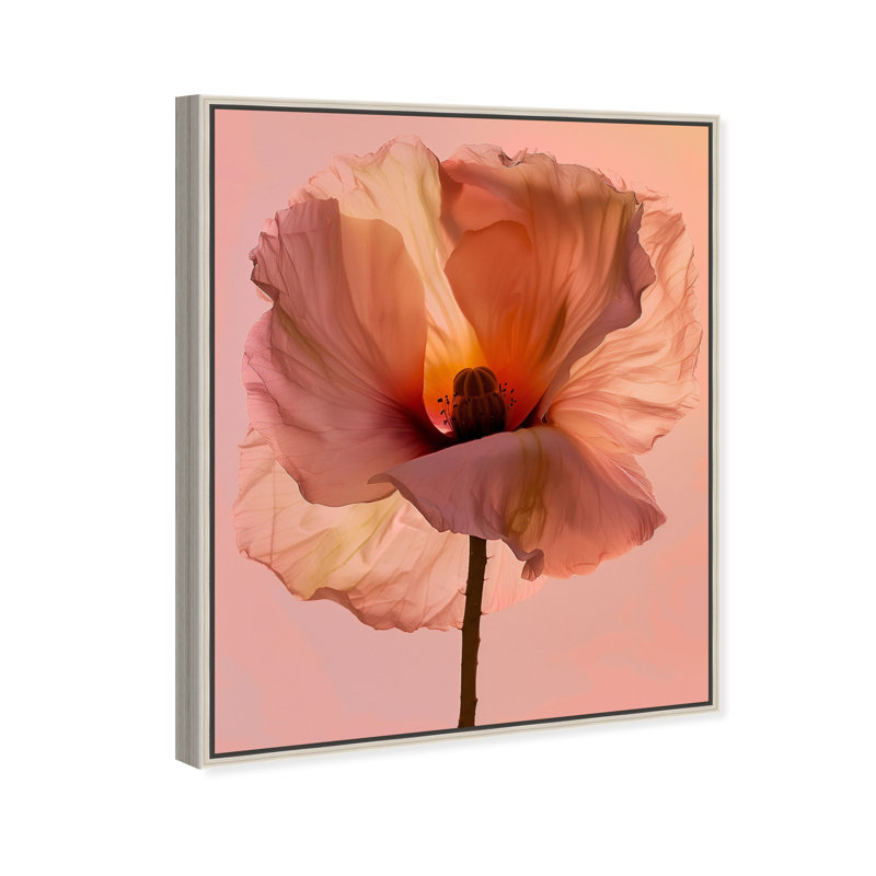 Amber Radiance I Print by Oliver Gal, 17"H x 21"W, Silver Floater Frame
