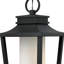 Sullivan 1-Light Outdoor Hanging Lantern-873446268-873446243