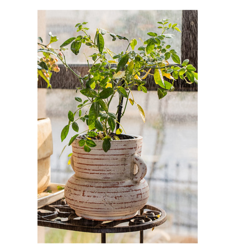 Januell Handmade Terracotta Table Vase, 12" H x 4.7" W x 7.8" D