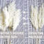 Plante grimpante 17 po Atalaya-1329839818-1329839830