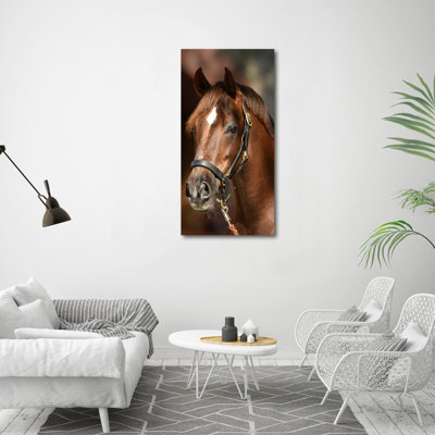 Portrait Of A Horse - Wrapped Canvas Print