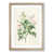 Oak Framed