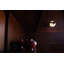 Robie 1 - Light Flush Mounted Sconce-1116722102
