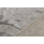 Area Rug in Gray