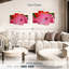 Coccinelle Brampt sur une rose I