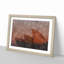 The Sydney Opera House - Picture Frame Painting Print-56712303-56712304